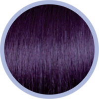 euro socap 64-newpurple