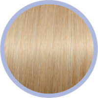 euro socap db2 licht goudblond