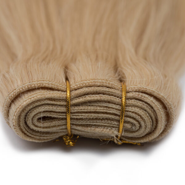 bighair-weft-weave-kleur-24-product-detail